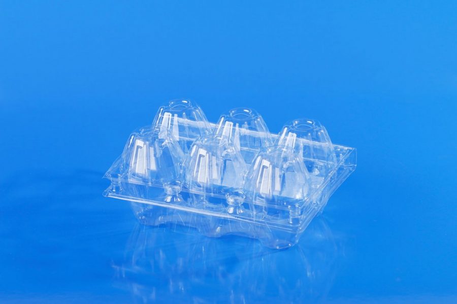 vỉ trứng 6 hột